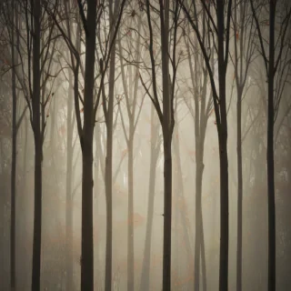 tree background