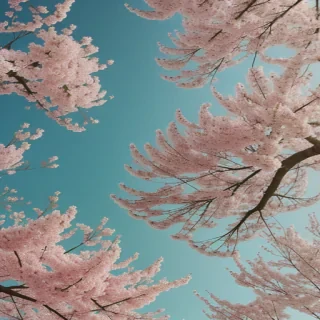 spring wallpaper aesthetic