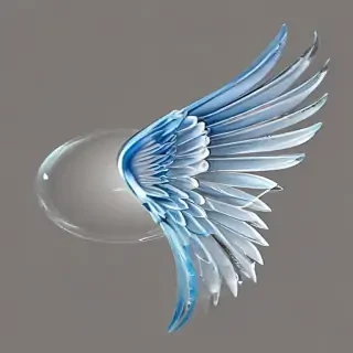 wings transparent