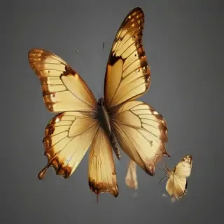 butter fly png