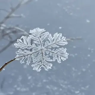 snow transparent