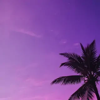 purple aesthetic wallpapers iphone