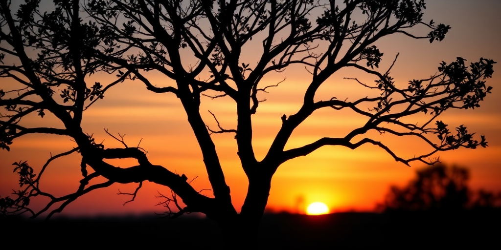 Create a detailed black silhouette of a tree with intricate branches and leaves against a vibrant sunset background, use a DSLR camera with an aperture of f/8, ISO 100, shutter speed of 1/200s, captured in a wide-angle view with a warm color tone to enhance image quality.