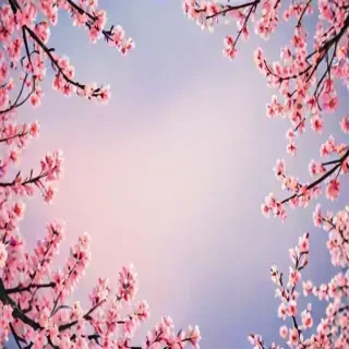 pretty backgrounds for phones