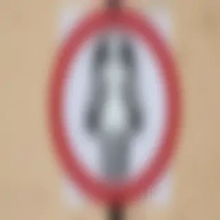 female sign