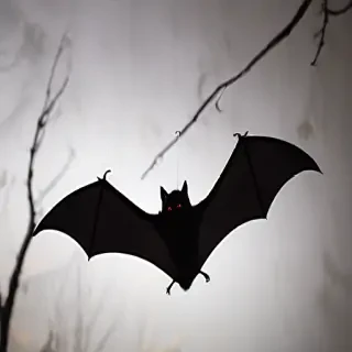 pictures of bats for halloween