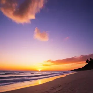 beach background sunset