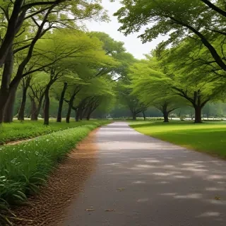 park png