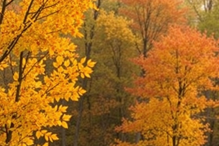 iphone backgrounds fall