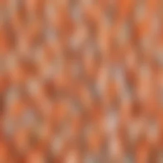 shrimp png