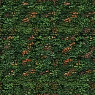 plants background