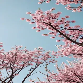spring desktop wallpaper aesthetic