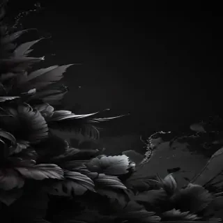 cool black wallpaper for iphone