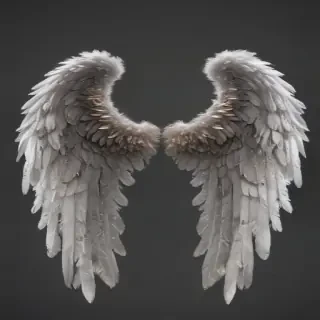 transparent angel wings png