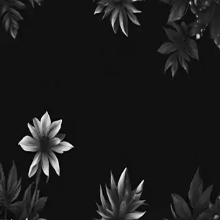 black bg aesthetic