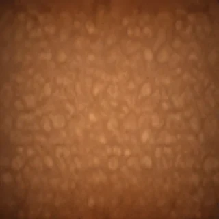 plain brown background