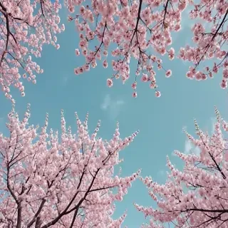spring backgrounds aesthetic