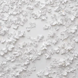 white background wallpaper