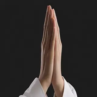 praying hands png transparent