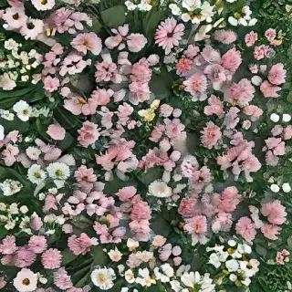 aesthetic wallpaper spring