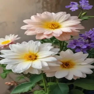 flowers pictures drawing