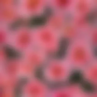 flower pictures