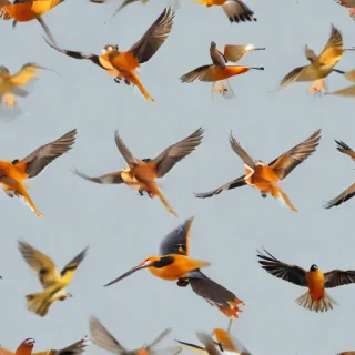 birds flying transparent background