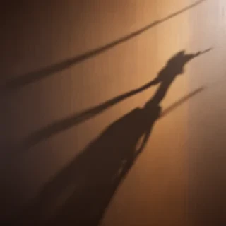 shadow wallpaper