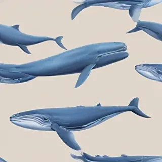 blue whale png