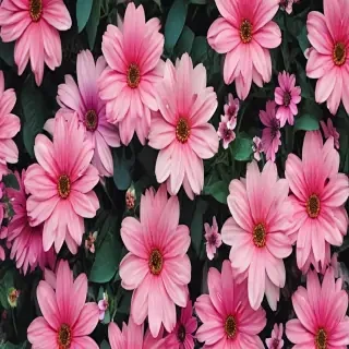 background flower cute wallpapers