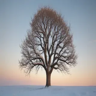 winter tree png