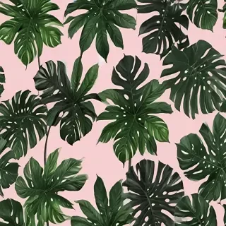 aesthetic plant wallpaper
