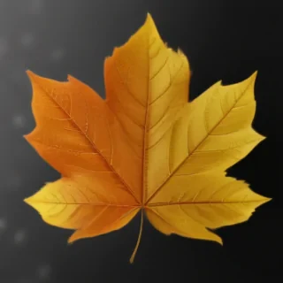 png fall leaves