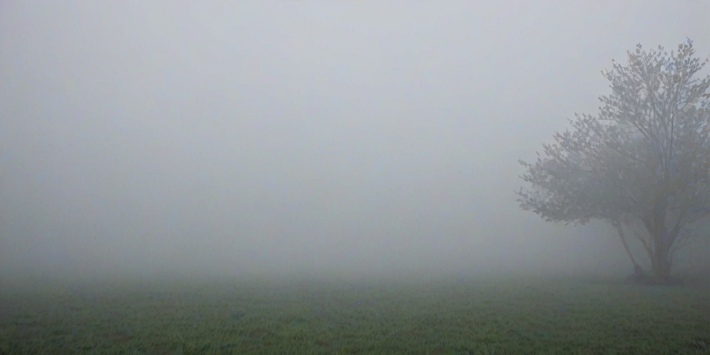 foggy background