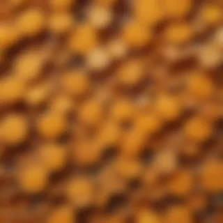 honeycomb png