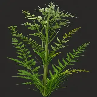 weeds png