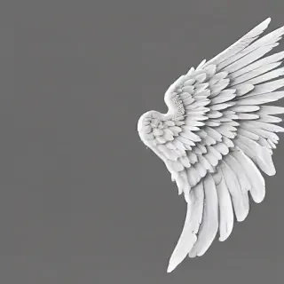 angel wings transparent background