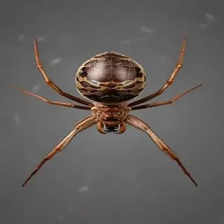 png spider