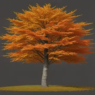 autumn tree png