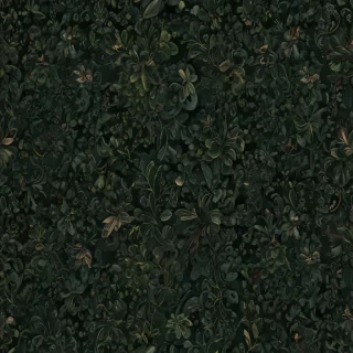 dark green bg