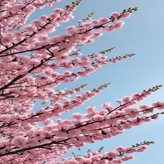 spring desktop wallpaper aesthetic