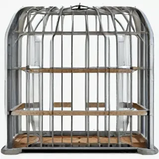 cage png