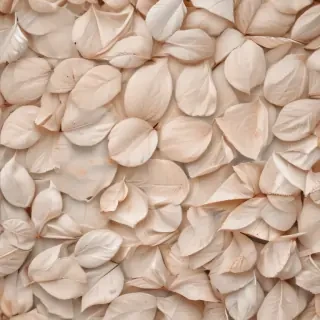 neutral iphone backgrounds