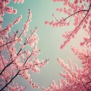 pretty backgrounds for phones