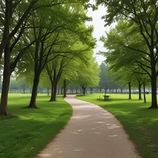 park png