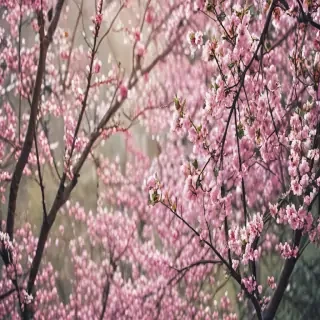 spring wallpaper iphone