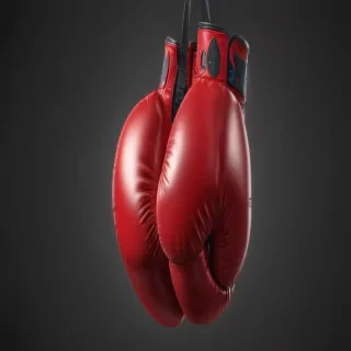 boxing glove png