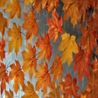fall leaves aesthetic