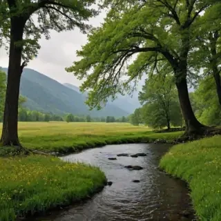 scenic backgrounds