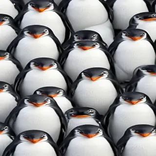 penguin backgrounds